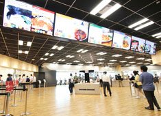 中央フードサービス株式会社 求人 
