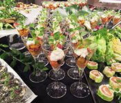 イル カヴァロ／株式会社東京デザインセンター 求人