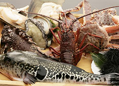 日本料理 横浜 梅林 求人 