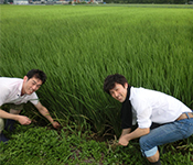 有限会社山路フード 求人