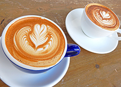 SALTY SUNNY BONDE CAFÉ 求人 