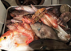 Lacco Ameno（ラッコアメーノ） 求人 △新鮮な鮮魚を使った料理も好評です！