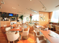 株式会社NEWTON レストラン事業開発室 求人 Plumeria Cafe
横浜
客単価／夜2500円