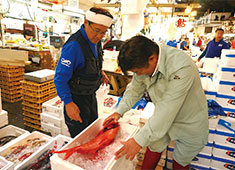 株式会社 サイプレス 寿司事業部 求人 和食・魚料理・居酒屋経験者も積極採用中！