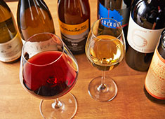 「イタリアン食堂 Va  bene」／ソフトライングループ 求人 ワインやクラフトビールとの相性を考えたメニュー開発などにも積極的に参加することが可能です。