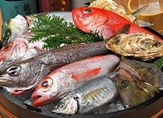 炭酒場カミナリ屋／やきとりにしだ家、他／有限会社カミナリ屋 求人 新鮮な魚介類を使用した料理は絶品！！鮮魚を扱える方・・優遇いたしますよ☆