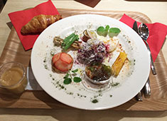 ミカフェート一ツ橋店（Mi Cafeto Café & Brasserie Hitotsubashi）／株式会社 ミカフェート 求人 ビーガン料理、アレルギー対応料理も提供しております。