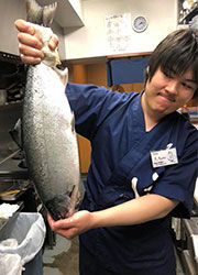 料理人のいる魚屋　かず家、他 求人