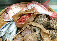 料理人のいる魚屋　かず家、他 求人 産地から毎朝直送される新鮮な魚介類！！
最高の素材を扱える環境です！