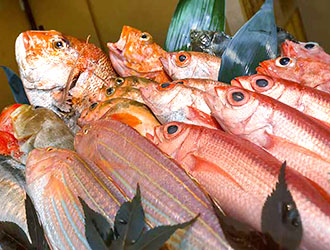 割烹 吉葉（よしば）／大辰魚類株式会社 求人