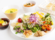 「HATAKE CAFE 日本橋店（仮称）」「HATAKE CAFE 新宿店」 求人 【HATAKE CAFÉの一番の人気ランチメニュー】野菜の前菜を中心に盛り沢山な一皿です。
