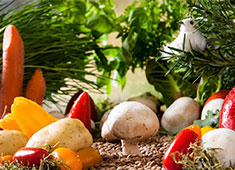 三本亭 成田空港店／三本コーヒー株式会社 求人 日本独自に変化した本物の洋食を、日本の玄関口「成田国際空港」で外国人観光客の方にも味わって頂きたいと考えています。