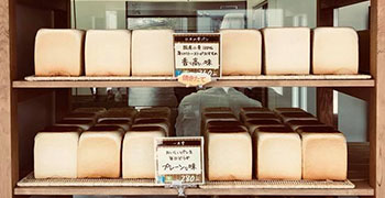 焼きたて食パン 一本堂／株式会社 共栄 求人