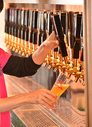 『MIGUEL y JUANI』『CRAFT BEER TAP』※新店舗開業準備室 求人