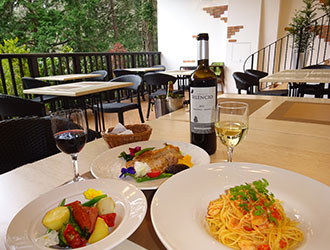 Cafe Terrace 樹ガーデン 求人