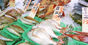 海鮮魚こう・魚こう鮨／Uoko　Global株式会社 求人