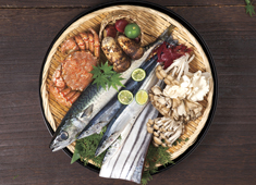 「寿司・和食 魚がし日本一 」「和食 青ゆず寅」「青柚子」／株式会社にっぱん 求人 寿司、和食、洋食業態を46店舗を展開中！外食業界としては珍しく、大田市場・築地市場の水産物セリ権を持つ企業です