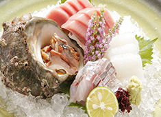 初代 求人 厳選した食材を扱うので自信をもって仕事ができます。