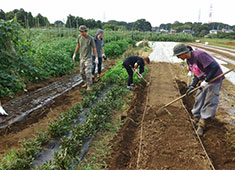 株式会社KZフーズコンサルティング 求人 自社農園で野菜の栽培もしております！