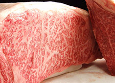 「鉄板焼ダイニング 知喜多 横浜西口店」「鉄板焼ダイニング 知喜多亭 和」／株式会社 水信ブルックス 求人 経験をお持ちの方であれば年令は問いません。