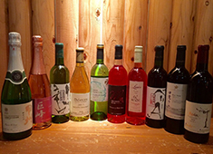 株式会社サンティール／レストランY-wine 求人 様々な経歴のメンバーが活躍しています。場所柄、語学を活かす機会もあります！