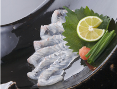 鮨 銀座 鰤門（しもん） 求人 天然物など食材は全国の一級品を仕入れています。当店のこだわりを受け継いでいって欲しいと思います。