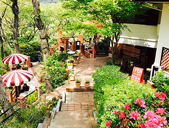 Cafe Terrace 樹ガーデン 求人