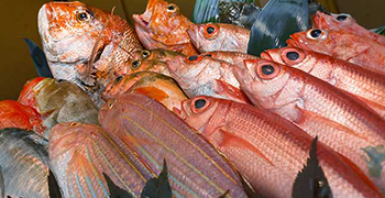 割烹 吉葉（よしば）／大辰魚類株式会社 求人
