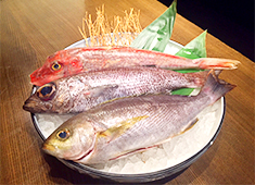 和食や 神楽坂店 求人 当店の軸となる魚には絶対的な自信アリ！鮮度・味はもちろん、直接取引をしているからこそ扱える貴重な魚介もあります！