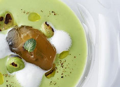 MOTORA Italian restaurant（モトラ イタリアン レストラン） 求人 五感を刺激する美食ストーリー