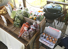 THE SOUTH（仮称）／桂ファーム 求人 愛情込めて育てた地元野菜の販売も行います。地産地消、多くの生産者を幸せにするやりがいあるお仕事です。