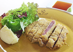 アミューズカフェシアター 求人 キャリアアップを目指している方にはぜひチャレンジしてほしい！今まで培ってきたアイデアを具現化出来るチャンスです！