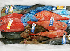 株式会社フーサワ　※新店舗開発事業部 求人 食材を活かす料理・ひと手間加えた料理と、既存メニュ―以外の開発もできますよ！