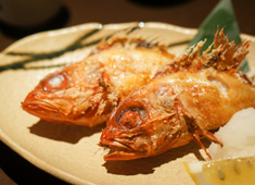 酒の魚 和海（なごみ） 求人 