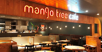 マンゴツリーカフェ 他／株式会社ミールワークス 求人
