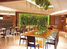 オアシスグループ（鉄板焼・和食・cafe部門）/鉄板懐石松阪・Cafeオアシス 求人 お洒落で綺麗なお店であなたの腕と経験を発揮するチャンスがあります！
