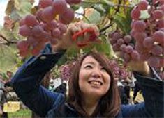 株式会社サンティール／レストランY-wine 求人 ワイン研修なども充実！幅広い意味でワインに関わりたい方ぴったりな環境です。