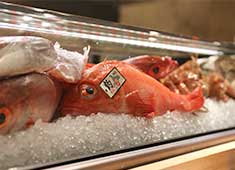 田中田 西麻布、ほか／田中田 GROUP 求人 毎日空輸で届く新鮮な食材を取り扱います。良い食材に囲まれて調理経験を活かしたい方大歓迎です！