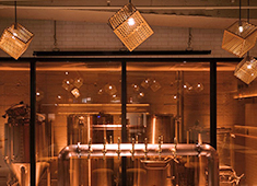 BEER& 246 aoyama brewery（ビアランド ニーヨンロク アオヤマ ブリュワリー）／株式会社ブロードエッジ・ファクトリー 求人 
