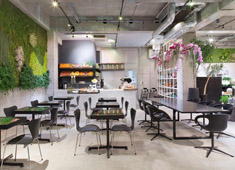 Nicolai Bergmann Nomu／Summerbird ORGANIC 求人 北欧スタイルで展開する、花と緑に囲まれたおしゃれなカフェ。グローバルな雰囲気で働けます。