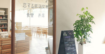 恋する豚研究所／社会福祉法人 福祉楽団 求人