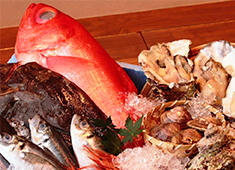 株式会社 TAKE（テイク） 求人 魚居酒屋では、魚をさばける方、和食・居酒屋経験者を歓迎！神奈川県の良質な食材を仕入れるお店です。