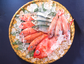 みなと寿司グループ 新店開業準備室 求人