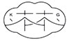 とれたて魚と野菜の小料理 KIGI（キギ）／株式会社 Innovation Design 求人情報