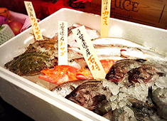 イタリアン酒場 Esto.／株式会社 東京天竜 求人 あなたならどんな飲食店を創りたいですか？あったらいいなを形にしましょう。