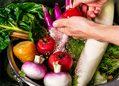 toi toi toi（トイ トイ トイ） 求人 季節の鎌倉野菜を使用し、素材の美味しさを活かした料理を提案しています。その他、近郊で上がった鮮度抜群の地魚も人気♪