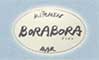 Kitchen&Bar BORABORA 求人情報