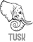 六本木 TUSK／ソルト・コンソーシアム株式会社 求人情報
