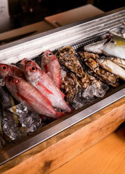 高円寺 魚貝 ののぶ 求人