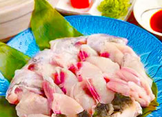 居酒屋 うまいもん 求人 創意あふれる一品料理や魚は揚・焼・刺、更にふぐ料理等、あらゆる調理技術が学べます！